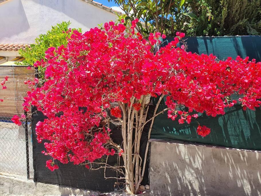 Le Petit Paradis Olivella Ngoại thất bức ảnh